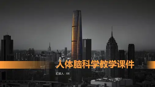 人体脑科学教学课件