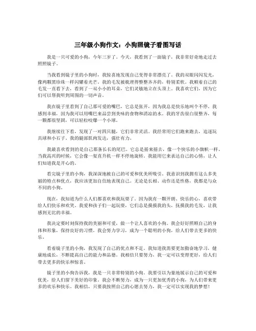 三年级小狗作文：小狗照镜子看图写话