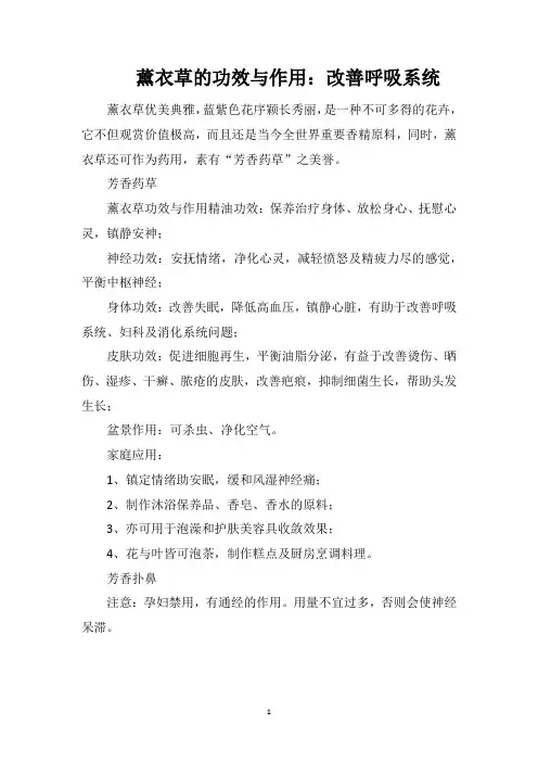 薰衣草的功效与作用：改善呼吸系统