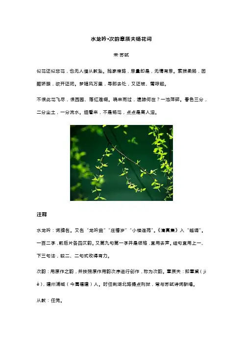 苏轼《水龙吟·次韵章质夫杨花词》全诗翻译及赏析