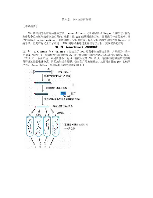 第六章 DNA序列分析