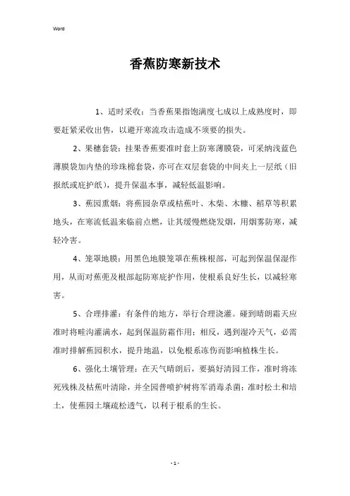 香蕉防寒新技术 