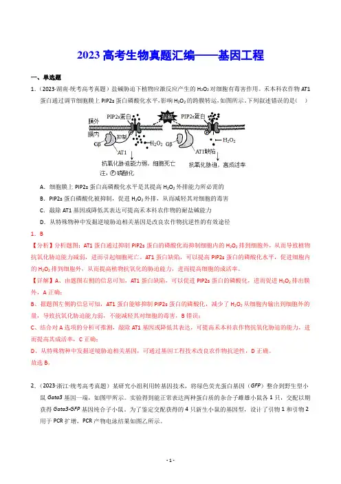 【高考生物】2023高考生物真题汇编——基因工程