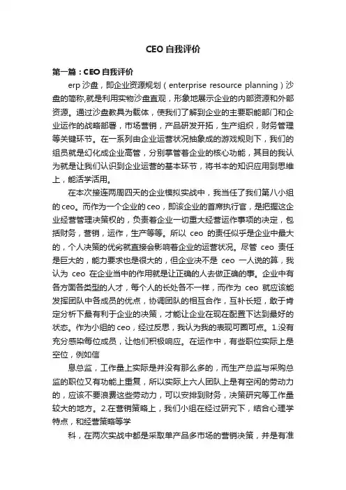 CEO自我评价