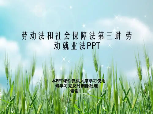 劳动法和社会保障法第三讲 劳动就业法PPT