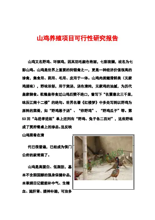 最新山鸡养殖项目可行性研究报告