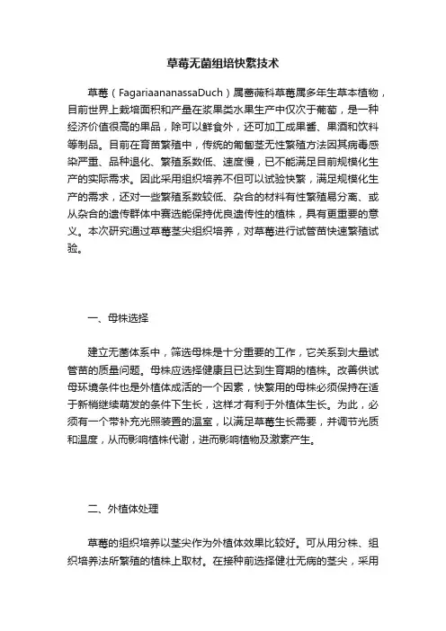 草莓无菌组培快繁技术