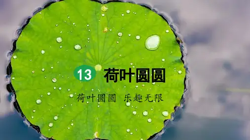 部编版一年级语文下册第13课《荷叶圆圆》精美课件(统编)