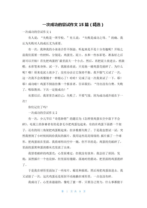 一次成功的尝试作文15篇(精选)