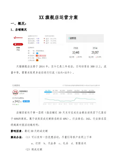 天猫旗舰店运营方案中期店铺(肖德才编)