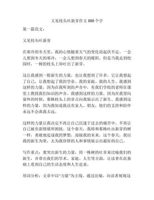 又见枝头吐新芽作文800个字