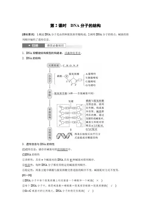 2024届高考一轮复习生物教案(苏教版)：DNA分子的结构