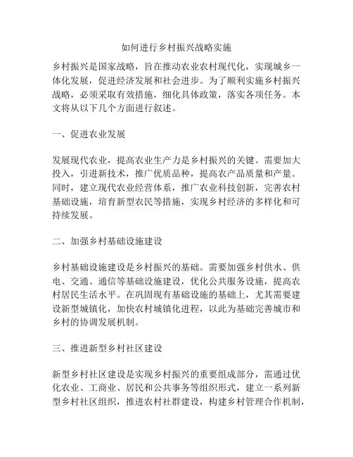如何进行乡村振兴战略实施
