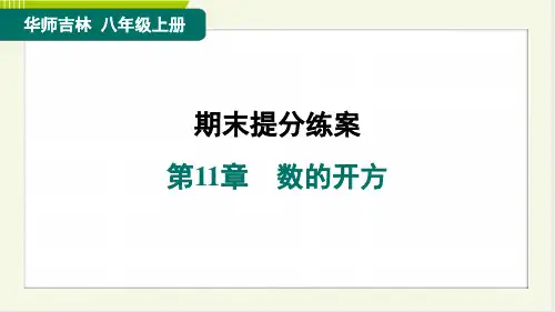 2024年华师版八年级上册数学期末复习第11章数的开方