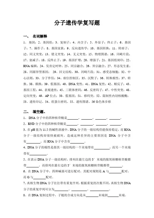 分子遗传学复习题(10-11上学期)