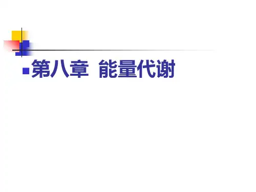 第八章能量代谢ppt课件