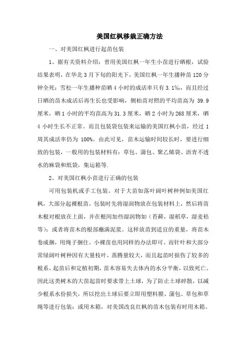 美国红枫移栽正确方法