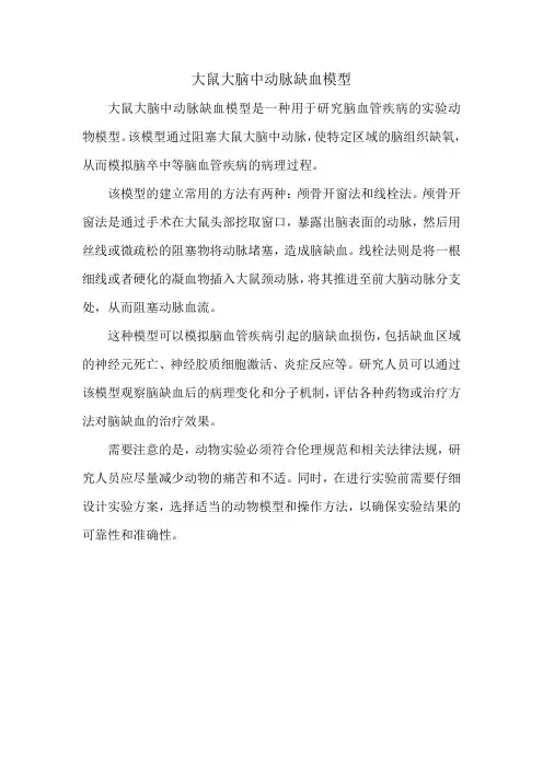 大鼠大脑中动脉缺血模型