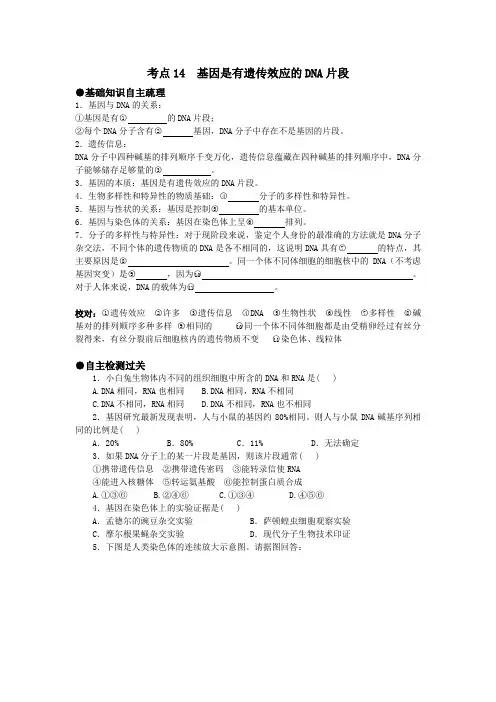 高考生物考点精析精练14  基因是有遗传效应的DNA片段