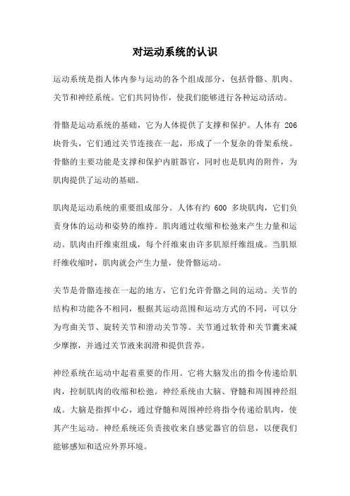 对运动系统的认识