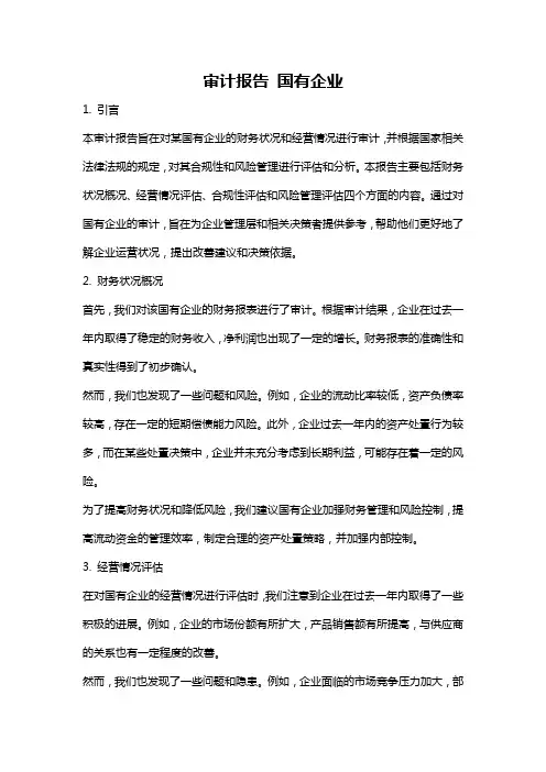 审计报告 国有企业