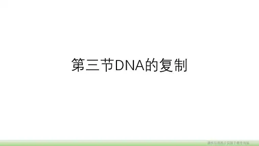 高中生物必修二课件2.3.3DNA的复制(一轮复习)