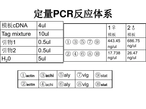 荧光定量PCR原理及操作步骤ppt课件