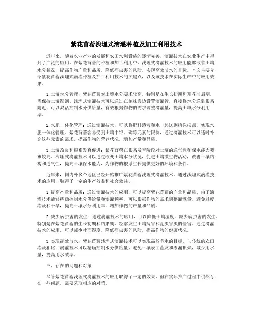 紫花苜蓿浅埋式滴灌种植及加工利用技术