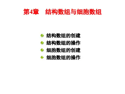 4  结构数组与细胞数组