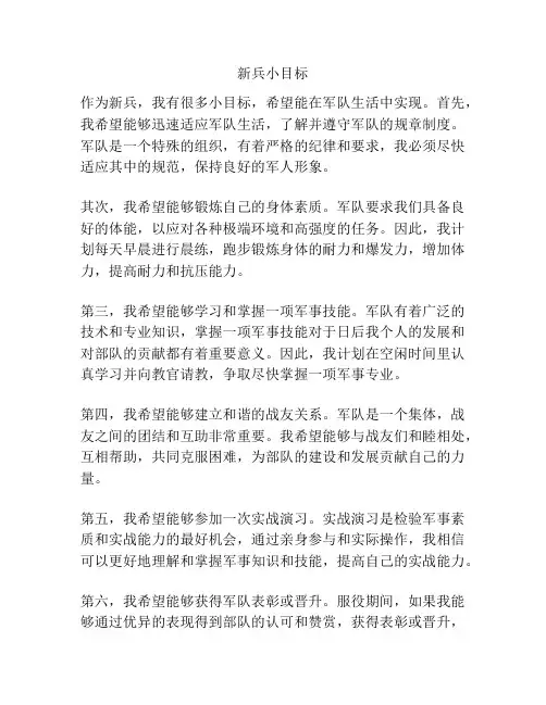 新兵小目标