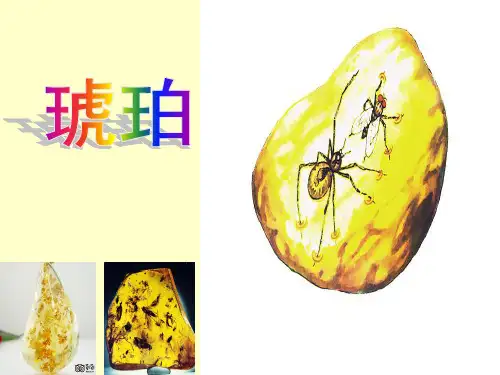 廖谭《琥珀》课件