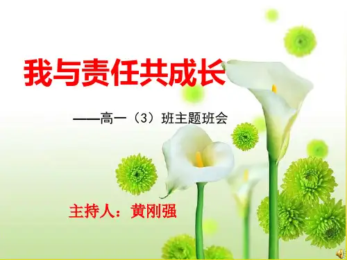 高中我与责任共成长主题班会精品ppt课件