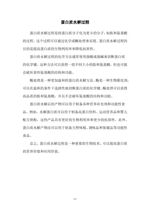 蛋白质水解过程