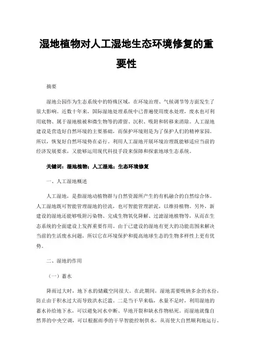 湿地植物对人工湿地生态环境修复的重要性