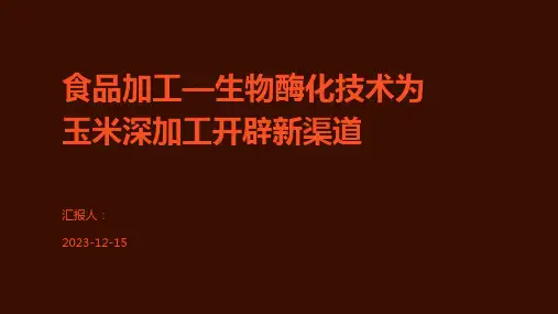 食品加工—生物酶化技术为玉米深加工开辟新渠道