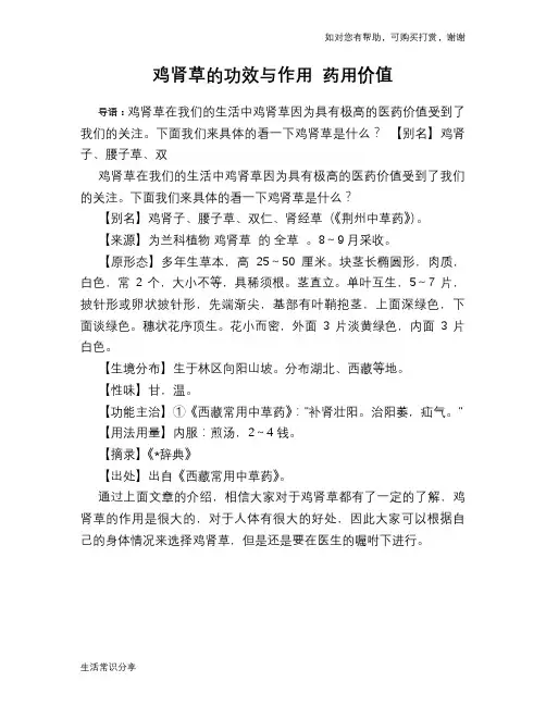 鸡肾草的功效与作用 药用价值