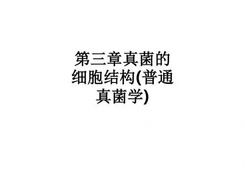 第三章真菌的细胞结构(普通真菌学)ppt课件