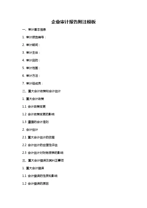 企业审计报告附注模板