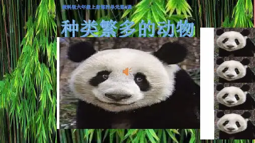 《种类繁多的动物》课件完整版PPT