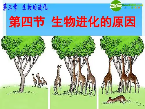 济南版八年级生物第五 单元_第四节生物进化的原因课件