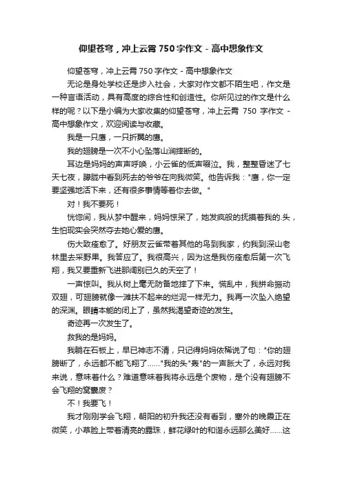 仰望苍穹，冲上云霄750字作文-高中想象作文
