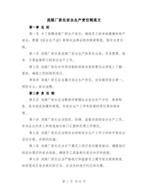 洗煤厂班长安全生产责任制范文（4篇）