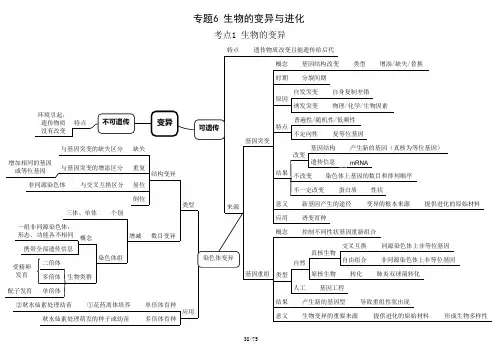 专题2 变异、育种与进化-【学霸脑图】2021年高考生物知识框架