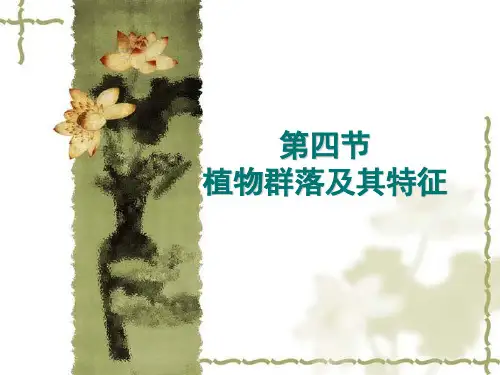 植物群落的结构