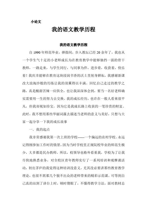 我的语文教学历程
