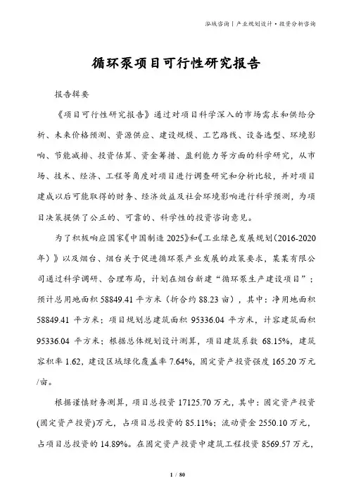 循环泵项目可行性研究报告