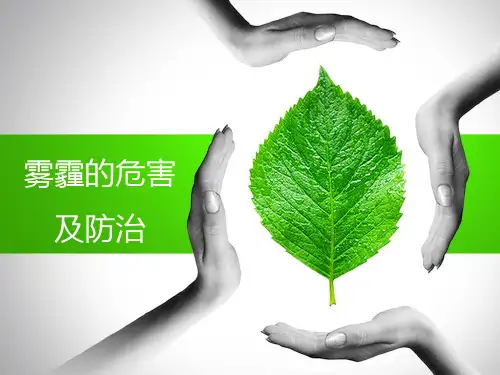 雾霾介绍及防治ppt课件