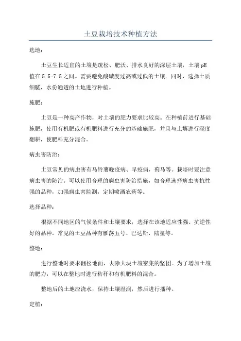 土豆栽培技术种植方法