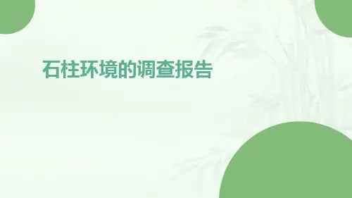 石柱环境的调查报告