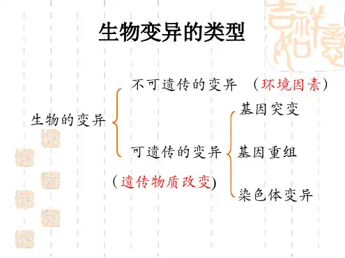 染色体变异在育种上的应用 2
